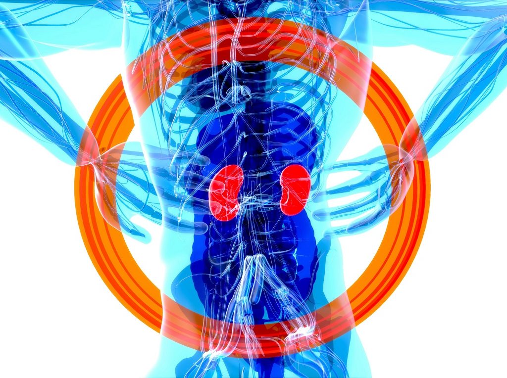 kidney-health