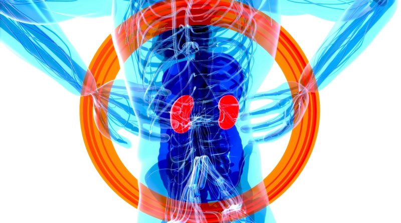 kidney-health